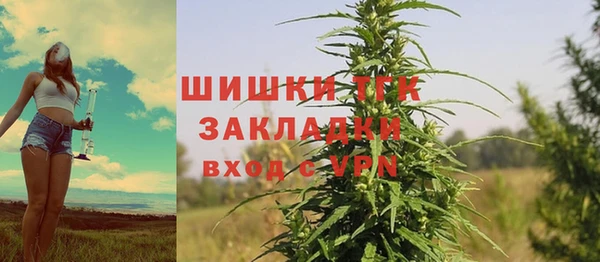 ПСИЛОЦИБИНОВЫЕ ГРИБЫ Верхний Тагил