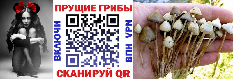 маркетплейс как зайти  где купить наркоту  KRAKEN ТОР  Чудово  Псилоцибиновые грибы прущие грибы 